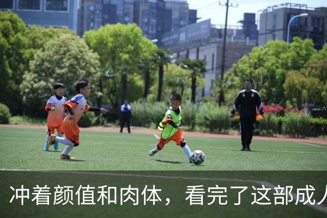 冲着颜值和肉体，看完了这部成人美剧