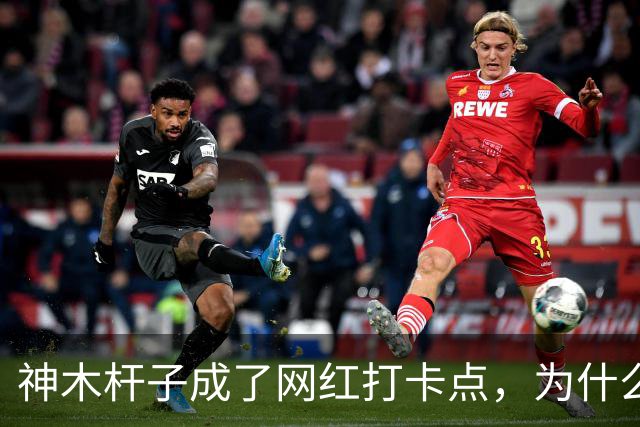 神木杆子成了网红打卡点，为什么要围起来？